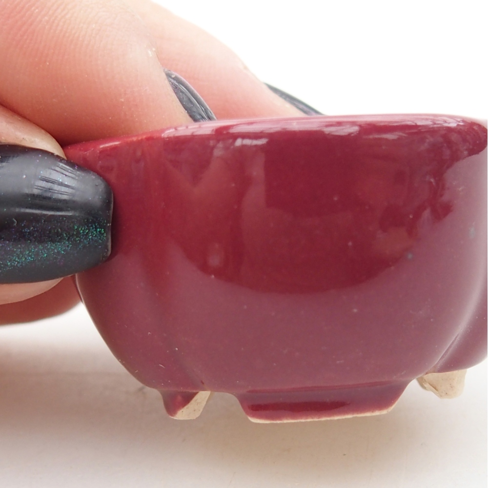 Mini miska do bonsai 4 x 4 x 2 cm, bordowa