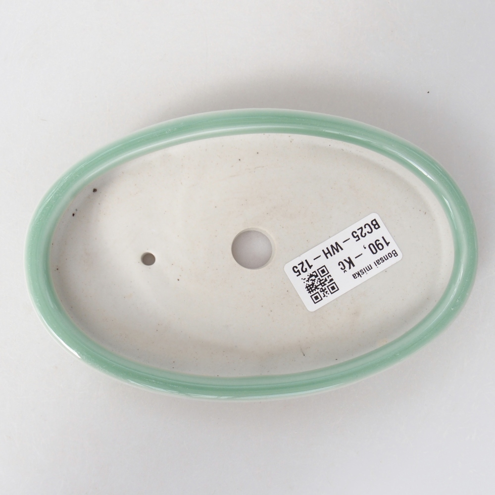 Ceramiczna miska do bonsai 15,5 x 10 x 2 cm, zielona