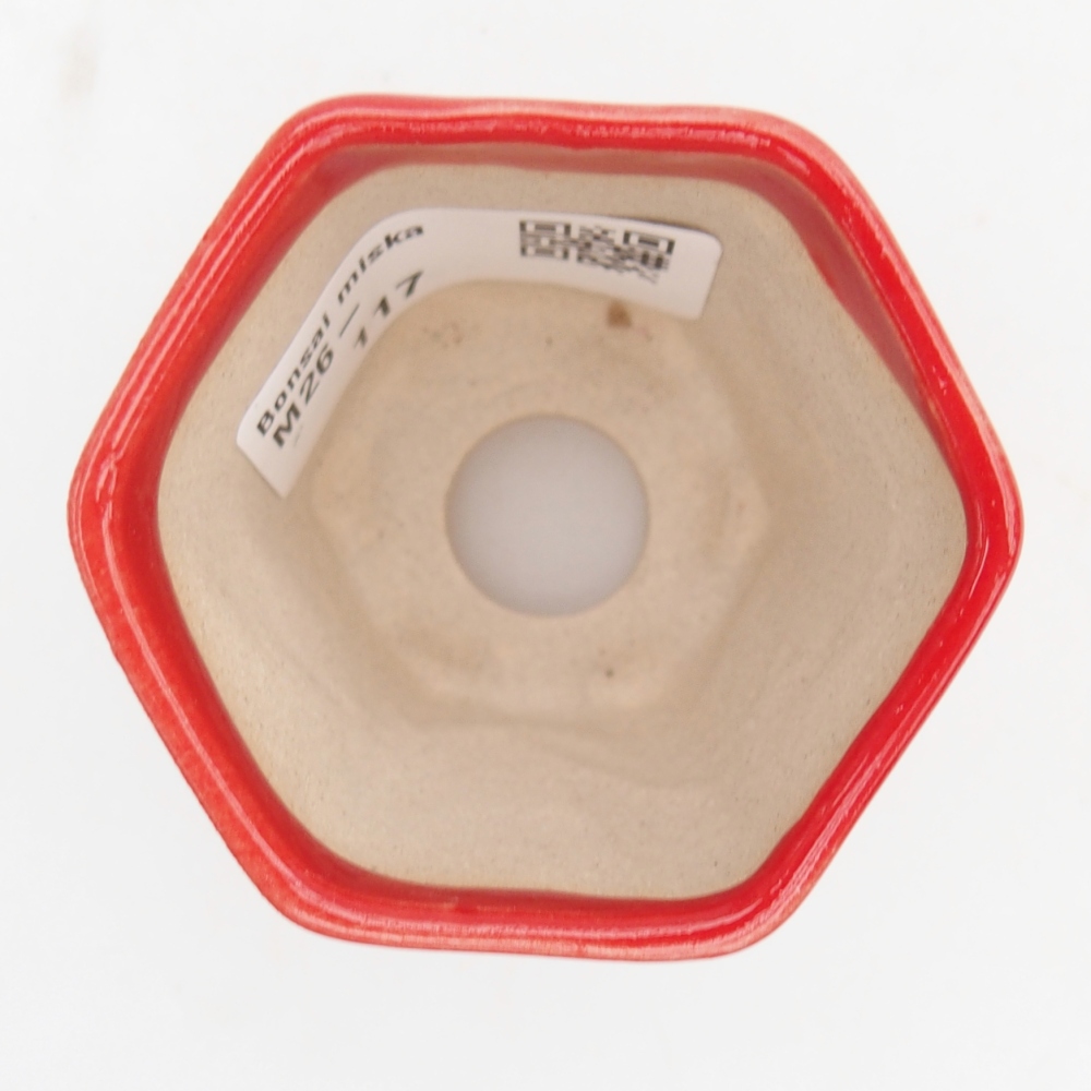 Mini miska do bonsai 5,5 x 5 x 5 cm, kolor czerwony