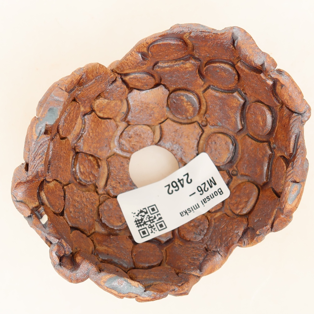 Ceramiczna skorupa  9 x 8 x 5,5 cm, kolor brązowy