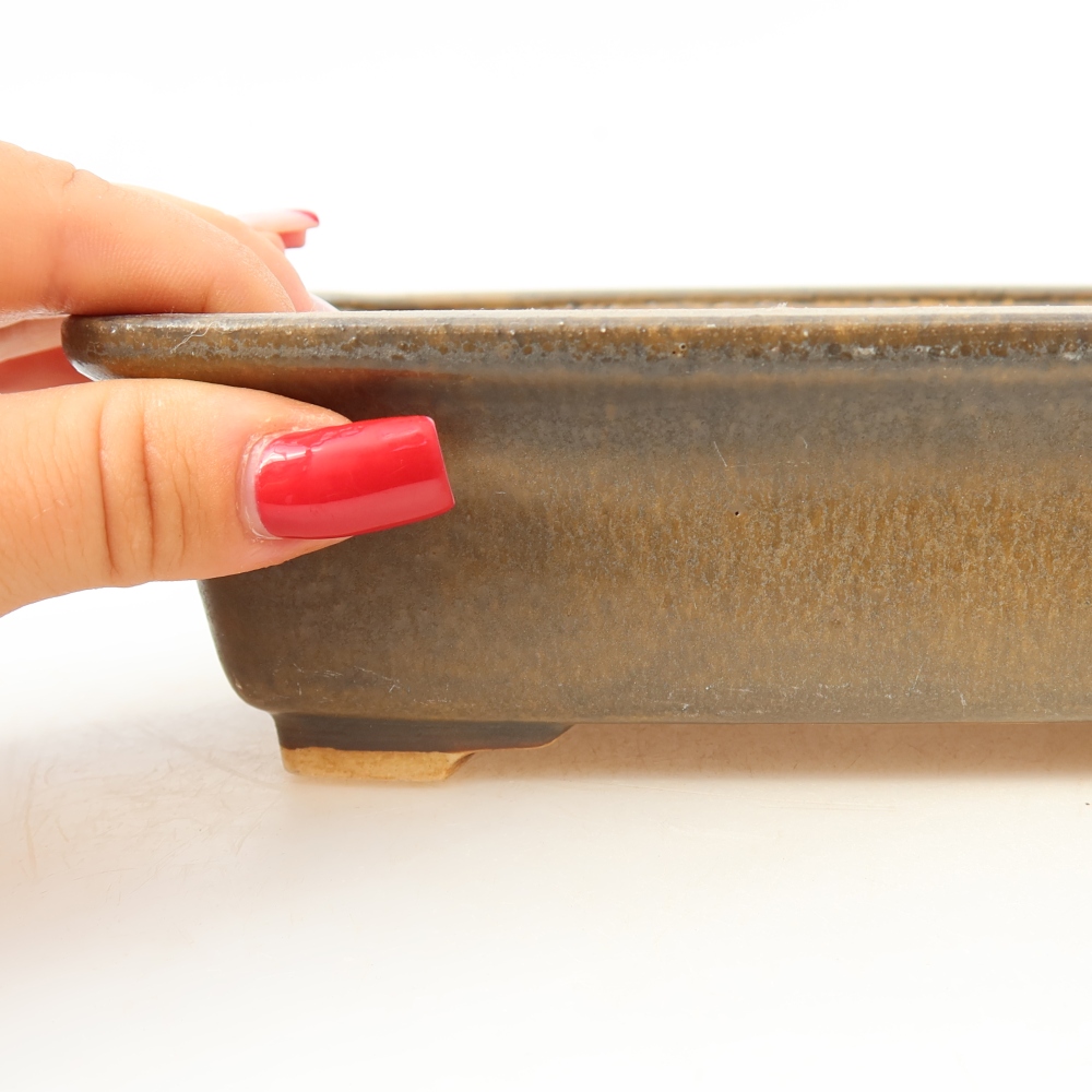 Ceramiczna miseczka do bonsai 17,5 x 14,5 x 5 cm, kolor brązowy