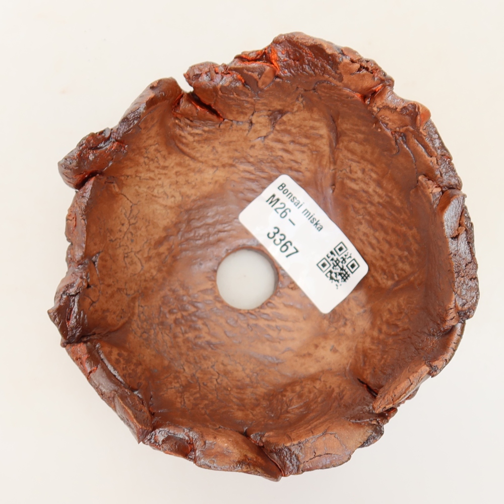 Ceramiczna skorupka 11 x 11 x 7 cm, kolor brązowy