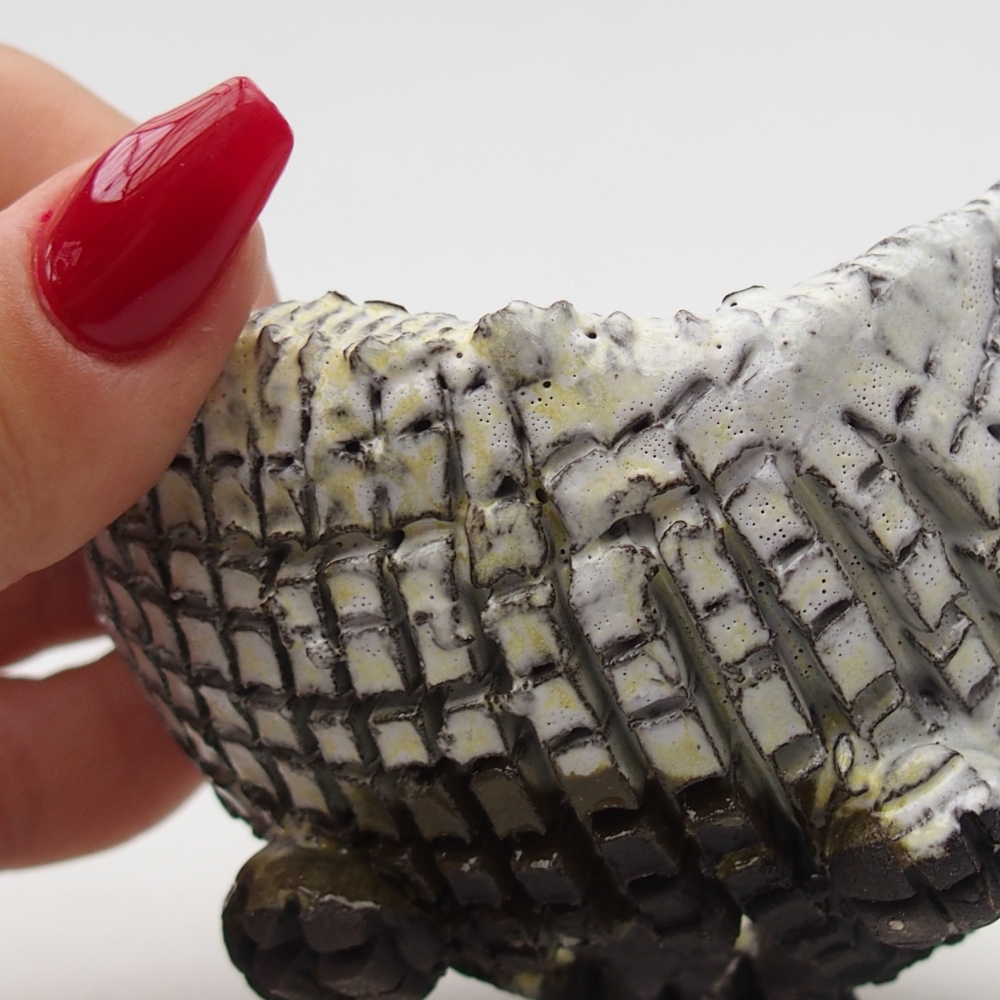 Ceramiczna muszla 8,5 x 8,5 x 5 cm, kolor biały