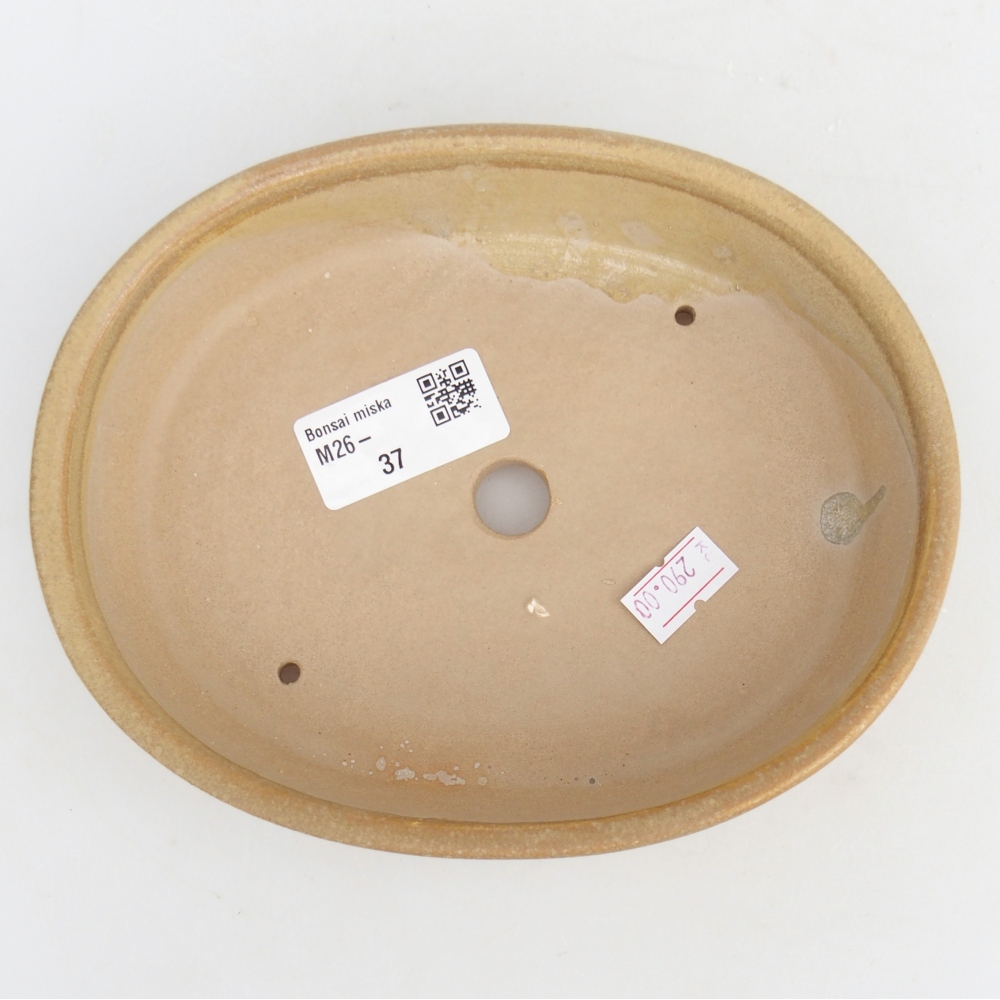 Ceramiczna miska na bonsai 17 x 14 x 4 cm, kolor beżowy
