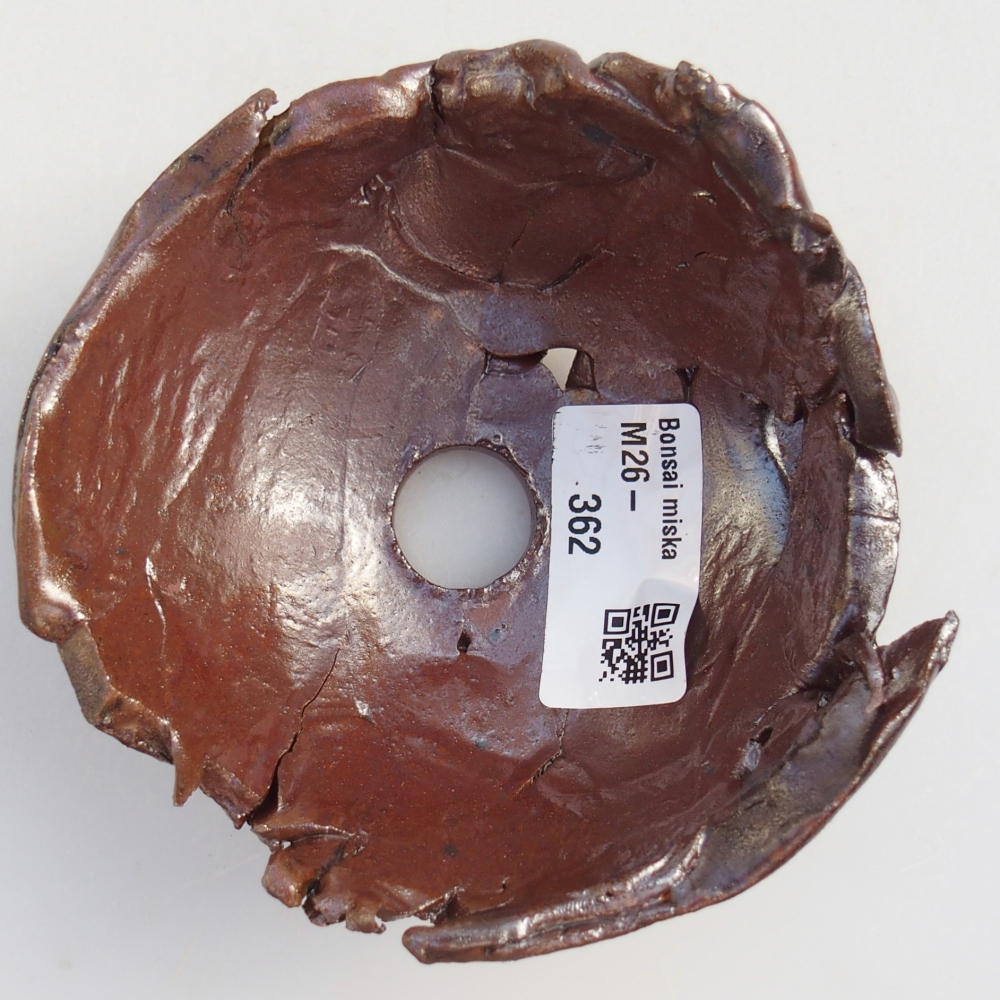 Muszla ceramiczna 10 x 10 x 6 cm, kolor brązowy