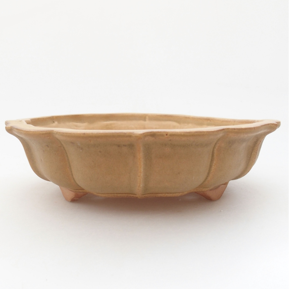 Ceramiczna miska bonsai 18 x 18 x 5 cm, kolor beżowy