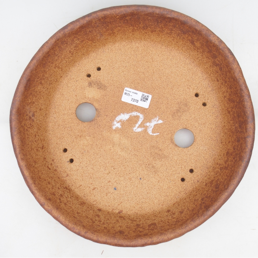 Misa bonsai 31 x 31 x 7 cm, kolor brązowy