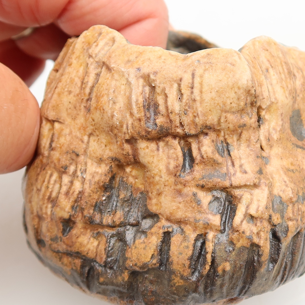 Ceramiczna skorupka  6 x 4,5 x 5,5 cm, kolor brązowy