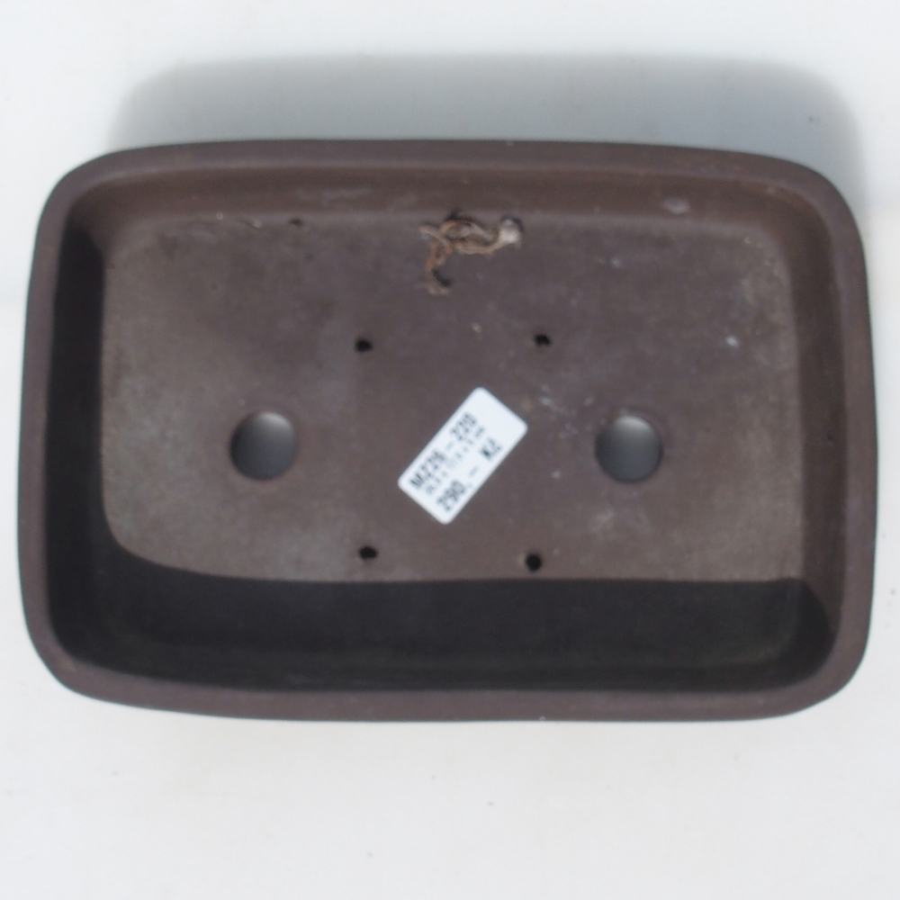 Misa do bonsai 25,5 x 17,5 x 5 cm brzoza brązowa