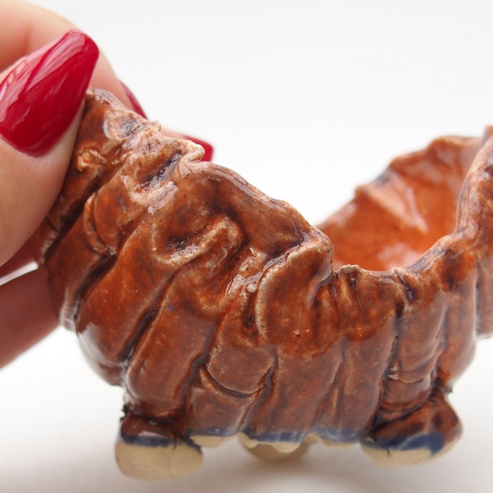 Ceramiczna muszla 8 x 8 x 6 cm, kolor pomarańczowy