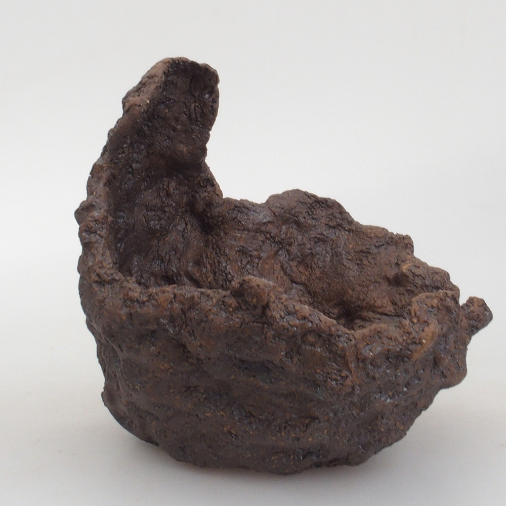 Muszla ceramiczna 14 x 13 x 15 cm, kolor brązowy