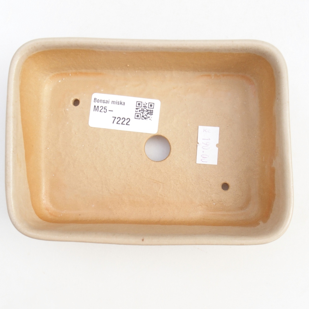Ceramiczna miska do bonsai 14,5 x 10,5 x 4,5 cm, kolor beżowy