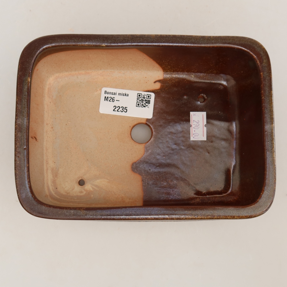 Ceramiczna miska do bonsai 17 x 12,5 x 5,5 cm, kolor brązowy