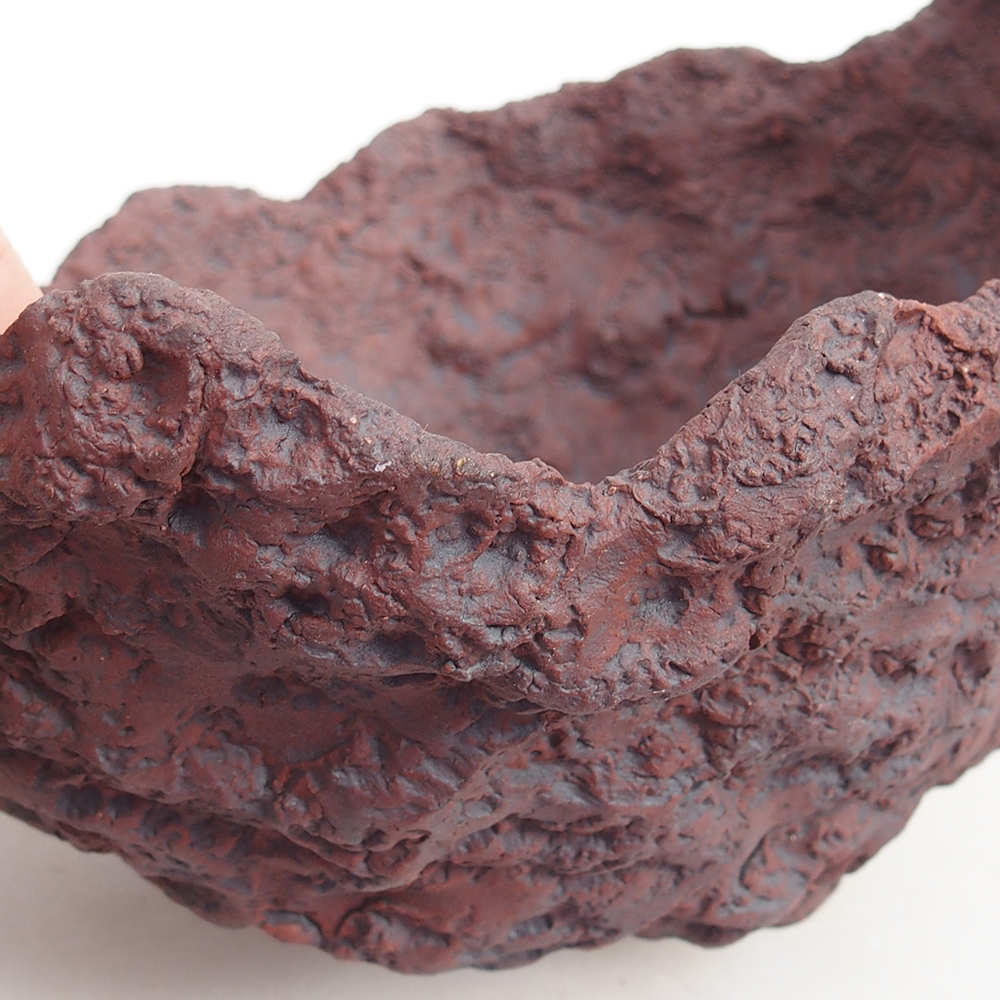 Ceramiczna skorupa 19 x 15 x 14 cm, kolor brązowy