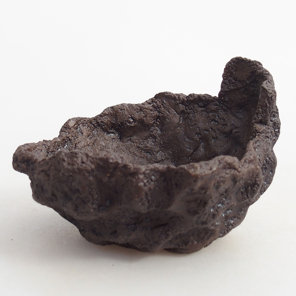 Muszla ceramiczna 10 x 9 x 7,5 cm, kolor brązowy