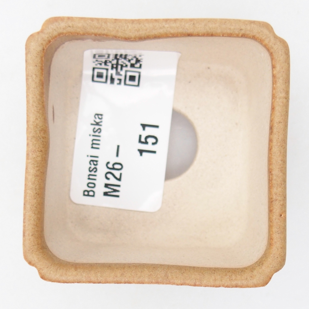 Mini miska do bonsai 5 x 5 x 3 cm, brązowa