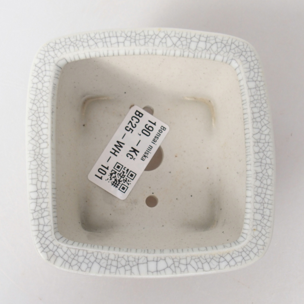 Ceramiczna miska do bonsai 9,5 x 9,5 x 5 cm, kolor raku