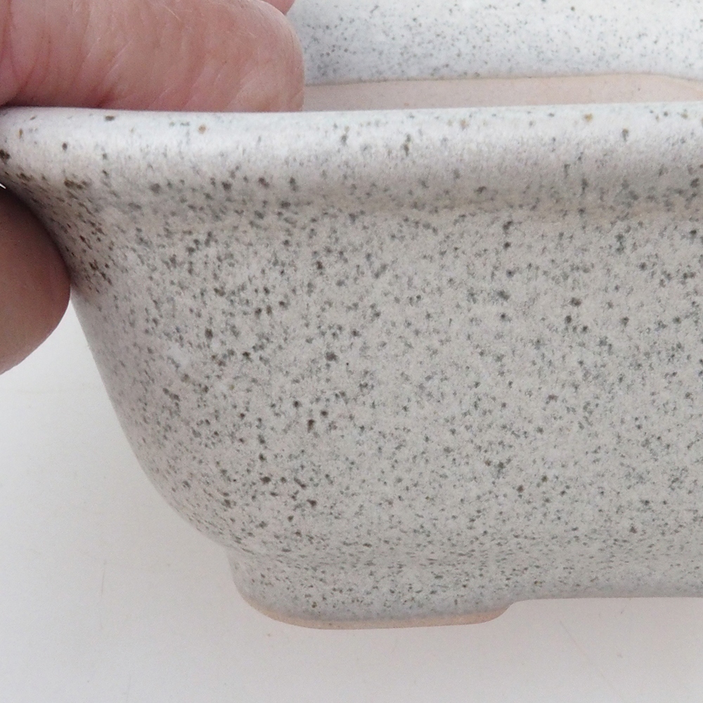 Bonsai bowl H38 - 12 x 10 x 5,5 cm. - beżowy