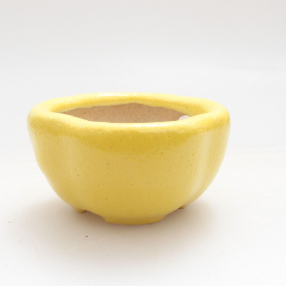 Ceramiczna miska bonsai 4 x 4 x 2 cm, żółta