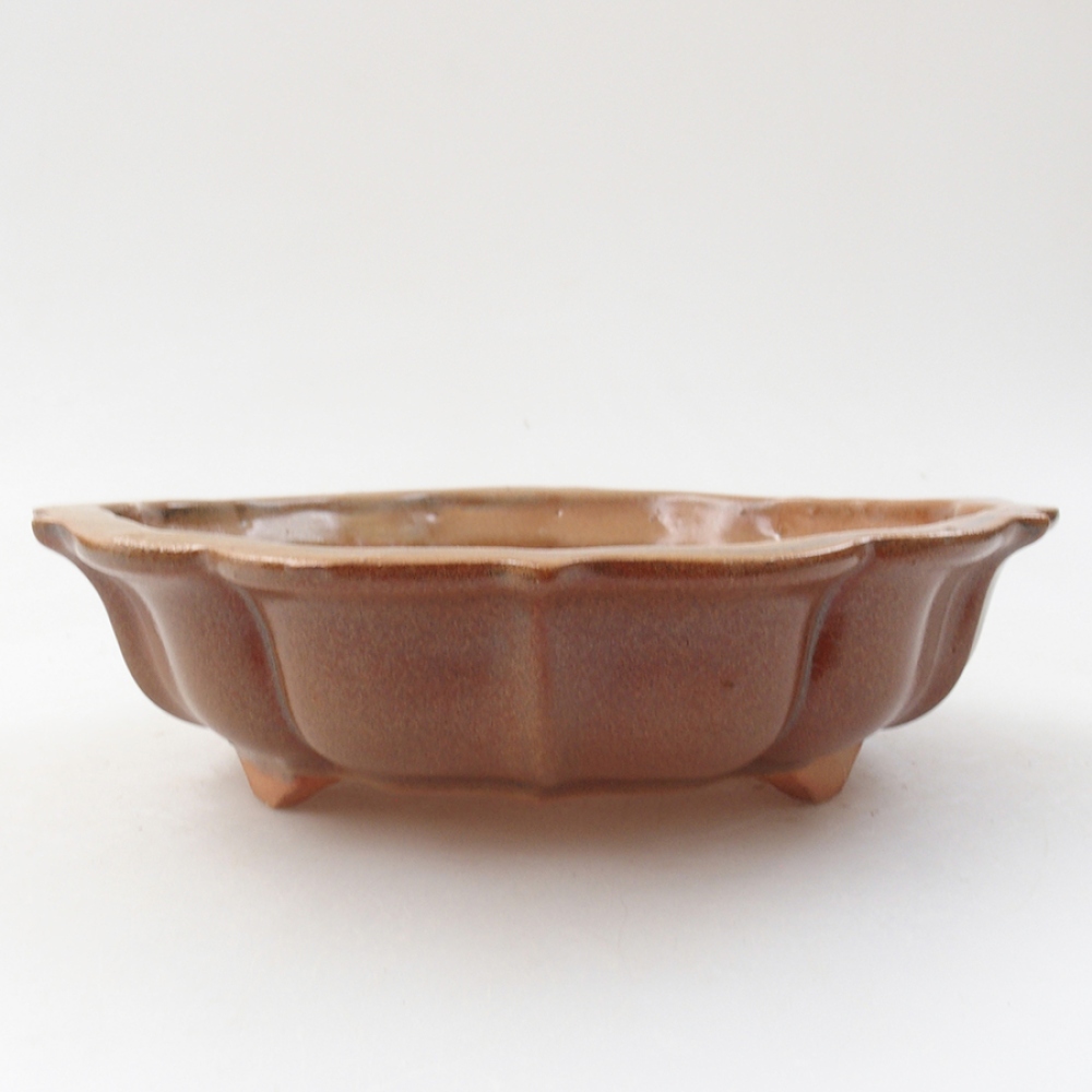 Ceramiczna miska bonsai 18 x 18 x 5 cm, kolor brązowy