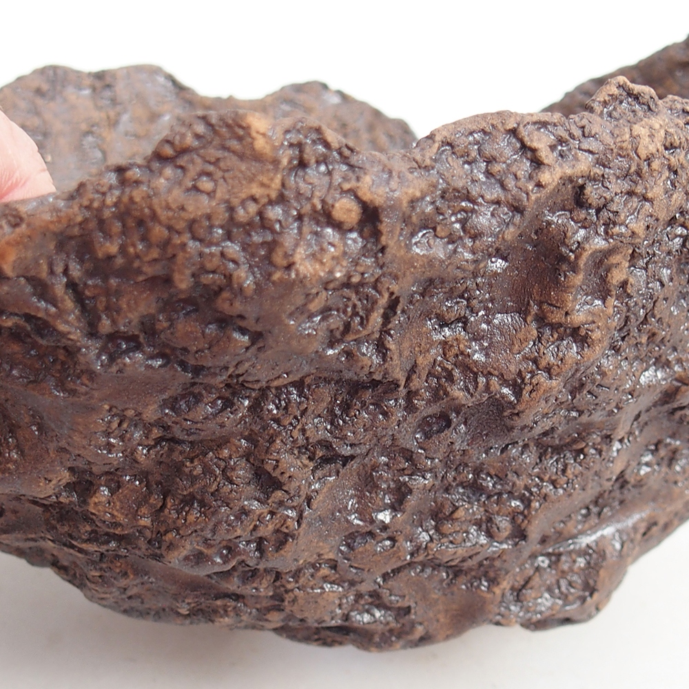 Ceramiczna skorupa 19 x 15 x 14 cm, kolor brązowy