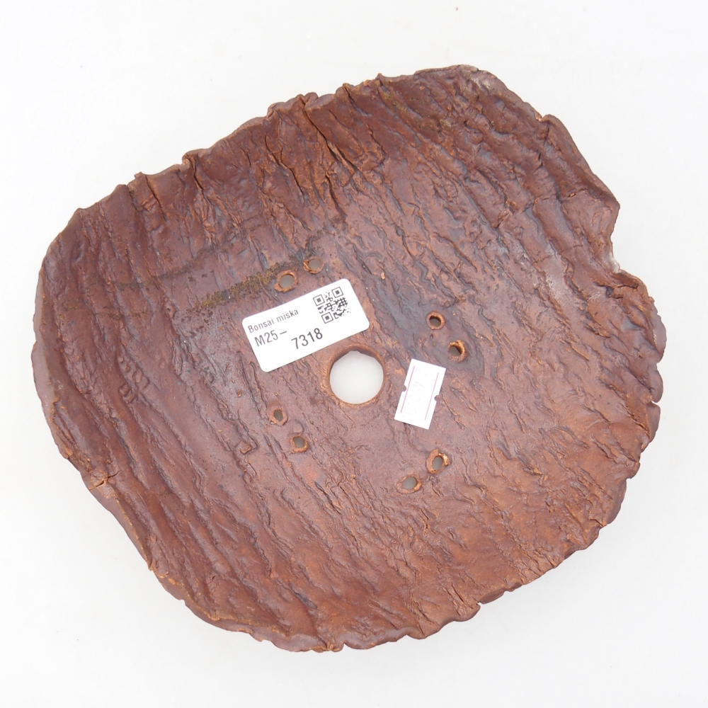 Ceramiczna skorupa 19 x 17 x 5 cm, kolor brązowy