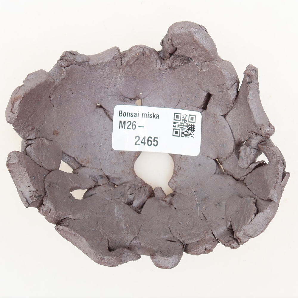 Ceramiczna skorupa  10,5 x 9,5 x 5 cm, kolor metaliczny
