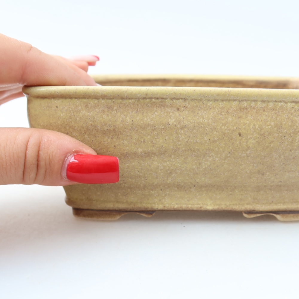 Ceramiczna miska do bonsai 15 x 12,5 x 5,5 cm, kolor żółty