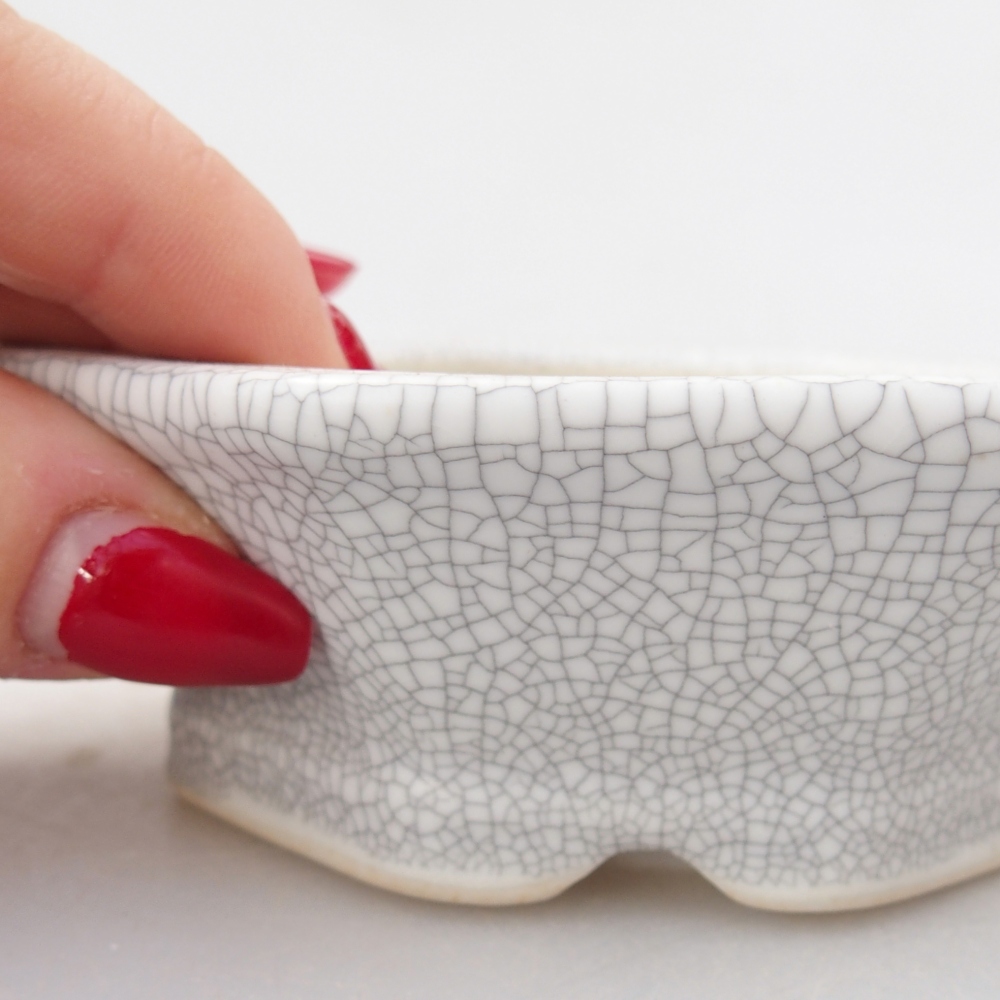 Miska 26 x 21 x 6,5 cm niebiesko-zielona