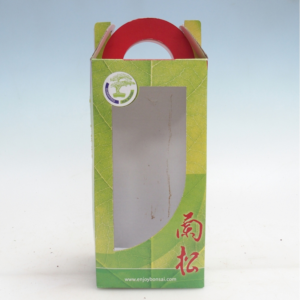 Papierowe pudełko na bonsai na prezent