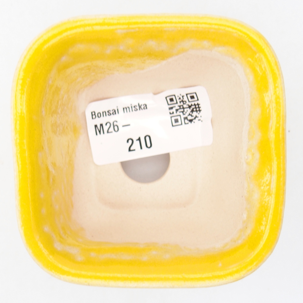 Mini miska do bonsai 6,5 x 6,5 x 4,5 cm, żółta