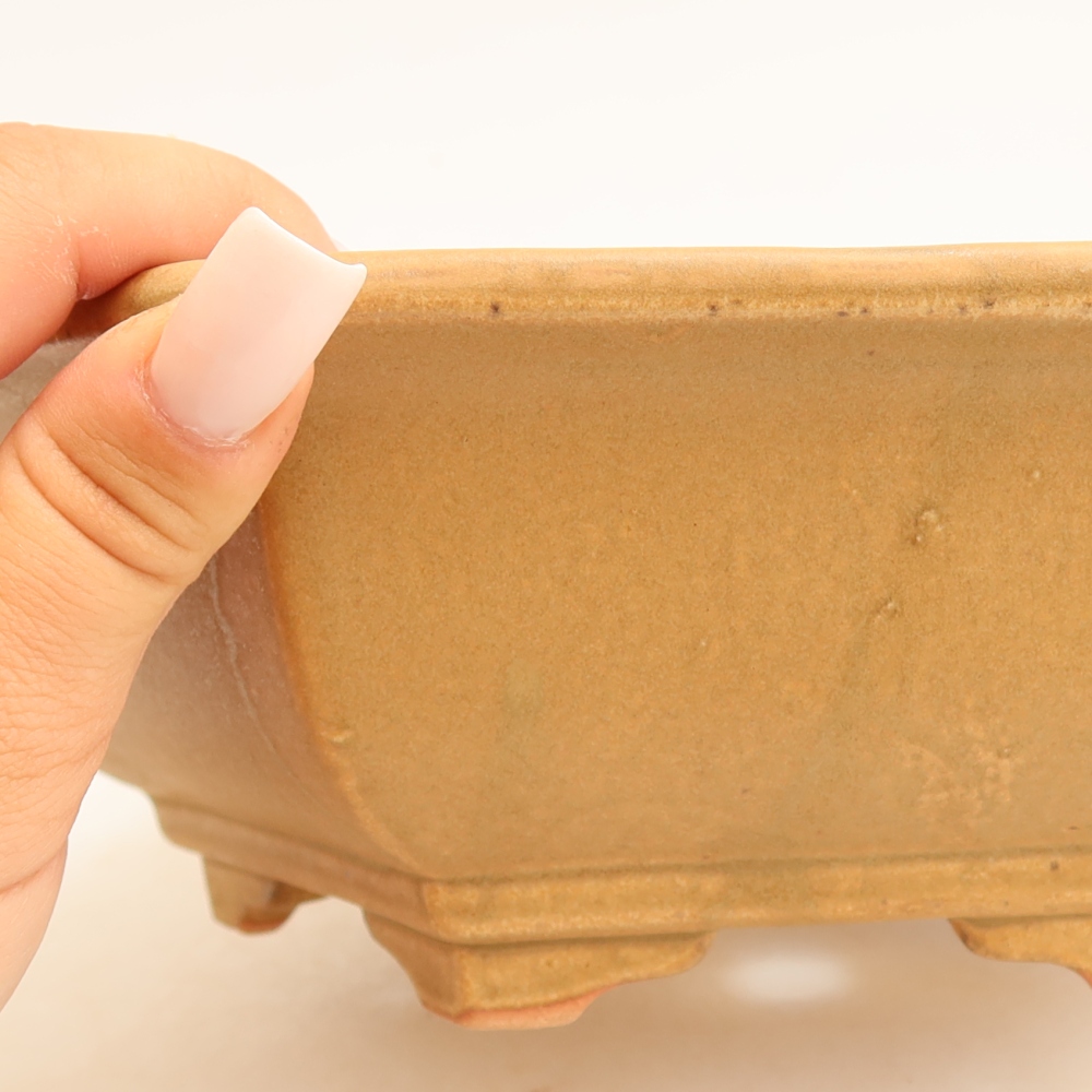 Ceramiczna miska do bonsai 24 x 21,5 x 7,5 cm, kolor beżowy