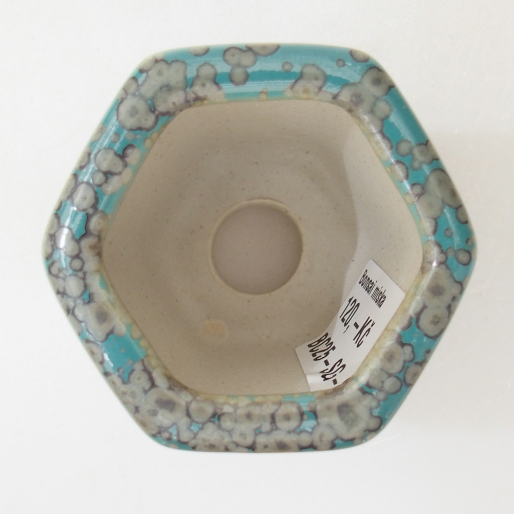 Miska 5,5 x 5 x 5,5 cm kolor niebieski