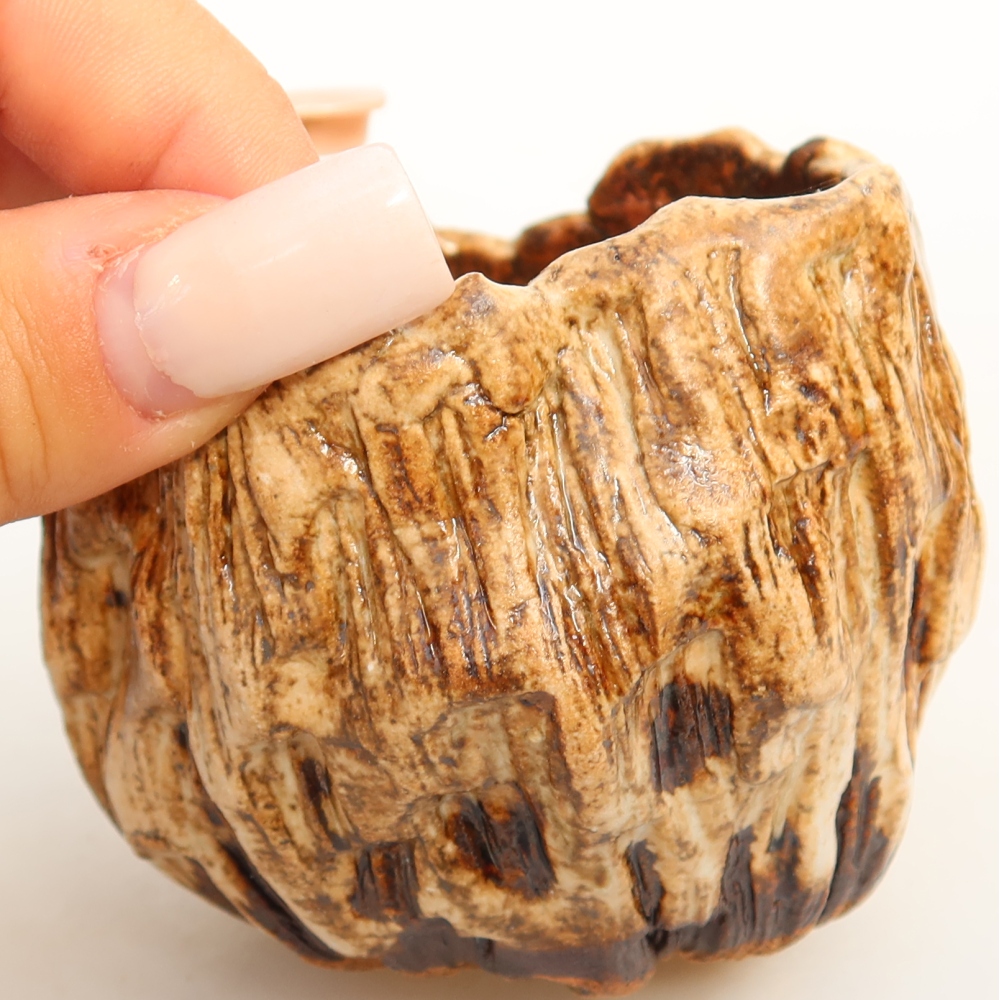 Ceramiczna skorupa  7 x 7 x 6,5 cm, kolor biało-brązowy