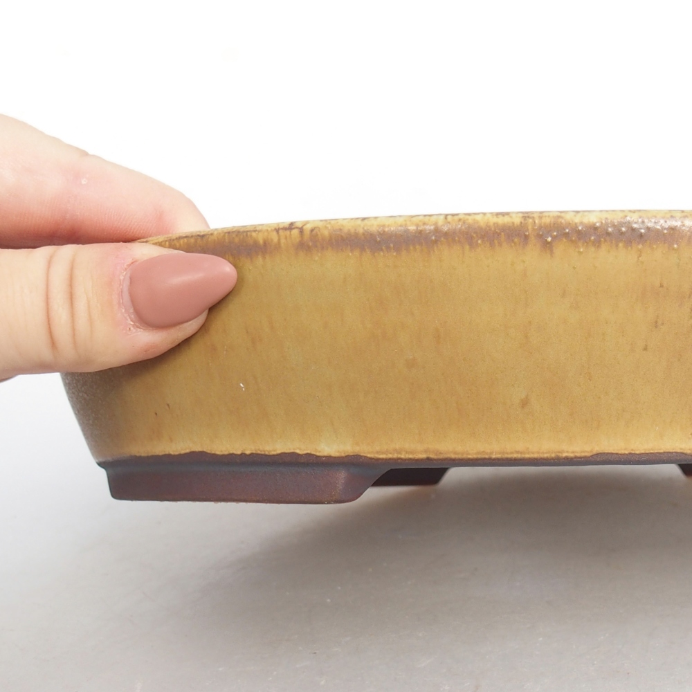 Ceramiczna miska do bonsai 22,5 x 20 x 4,5 cm, zielona