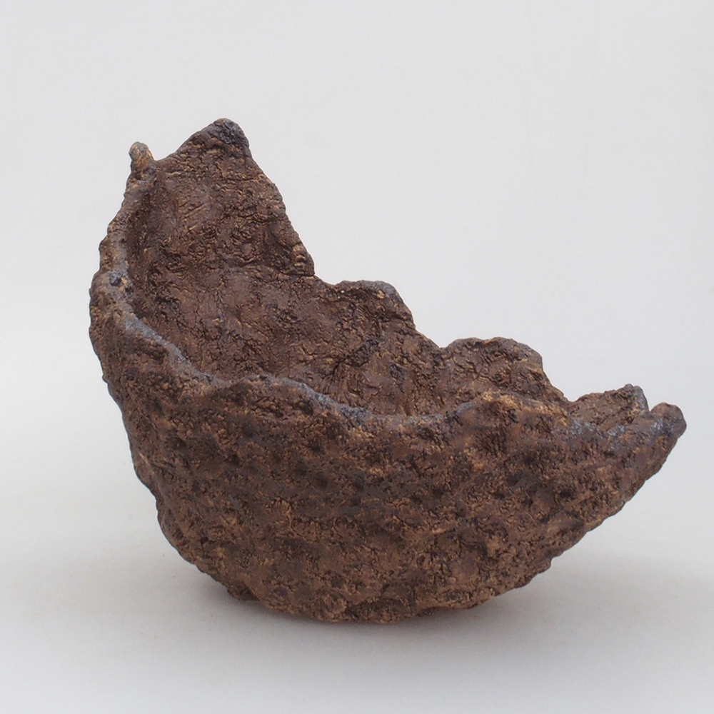 Muszla ceramiczna 22 x 20 x 20,5 cm, kolor brązowy