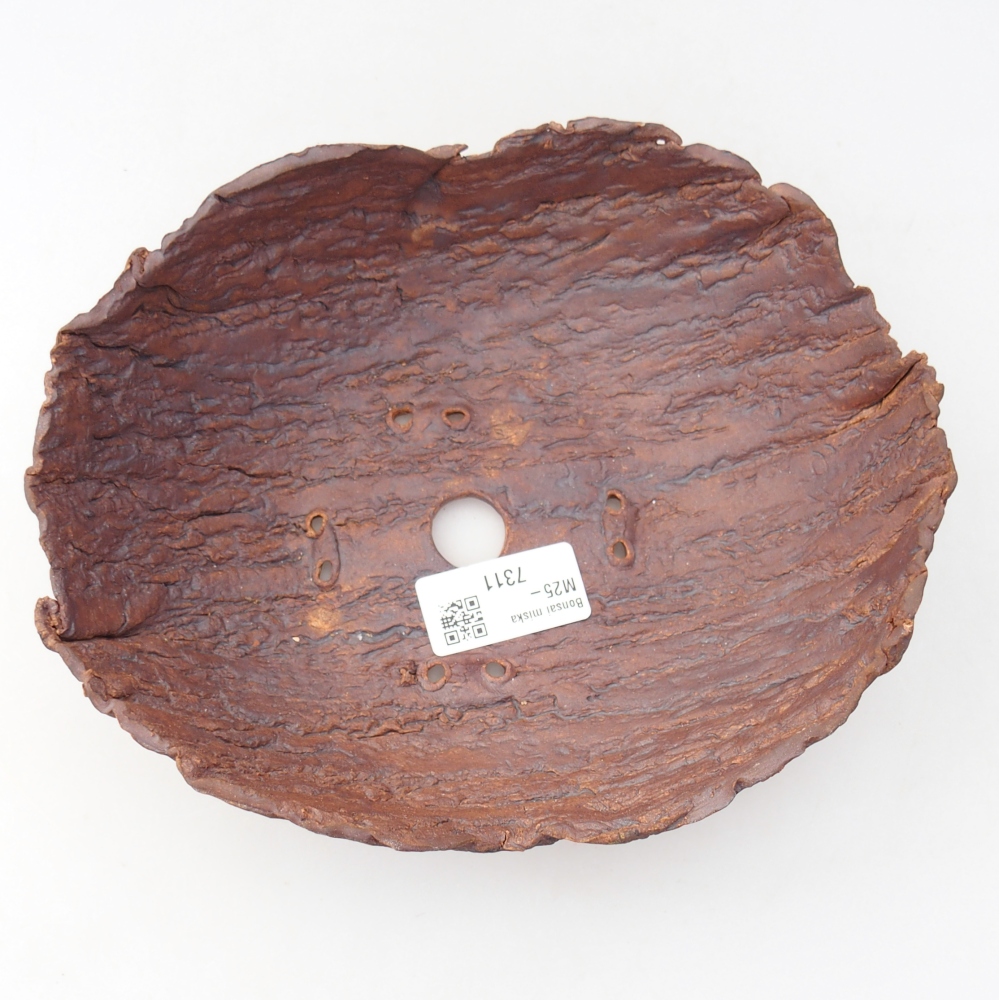 Ceramiczna skorupa 20 x 16 x 6 cm, kolor brązowy