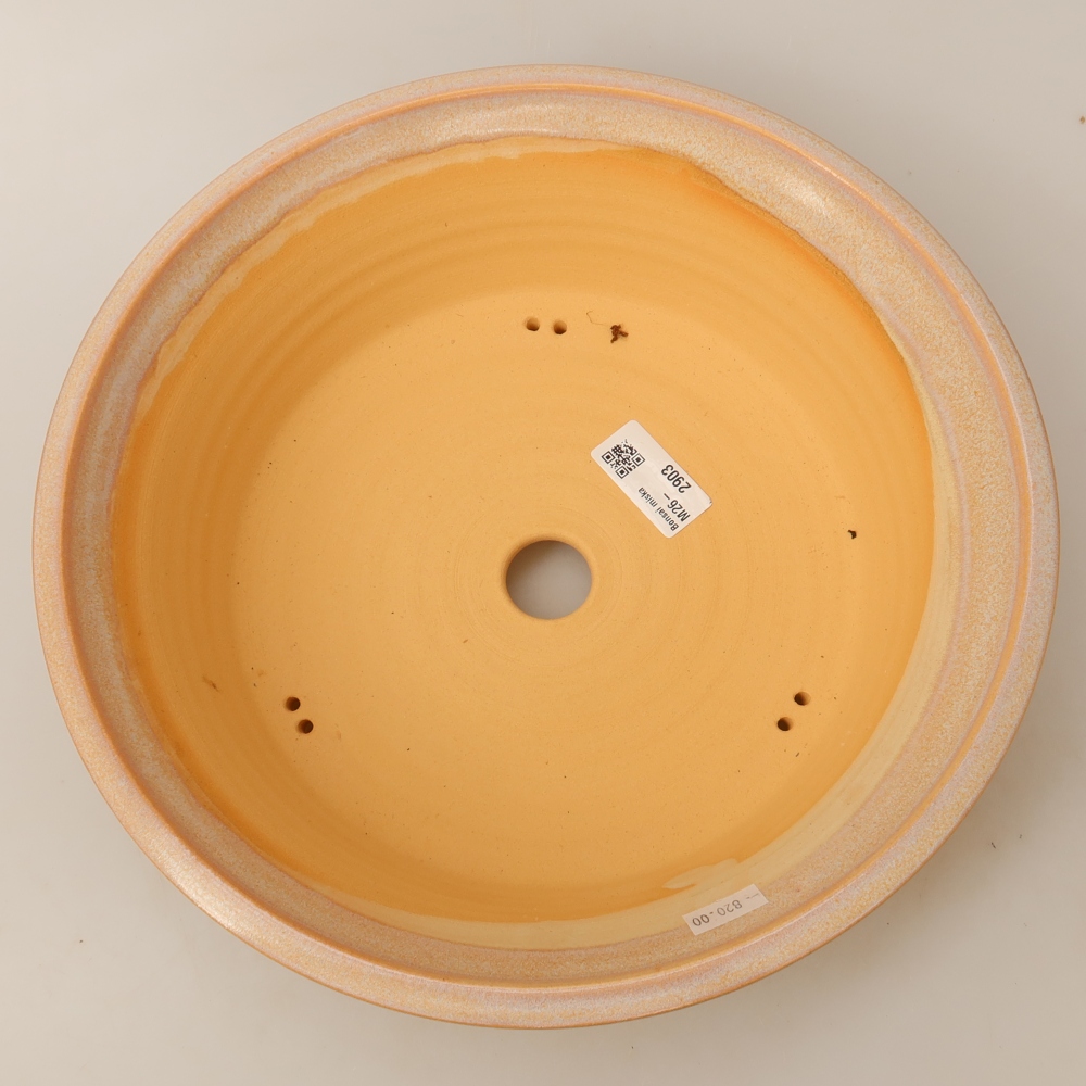 Ceramiczna miska do bonsai 29 x 29 x 8,5 cm, kolor beżowy