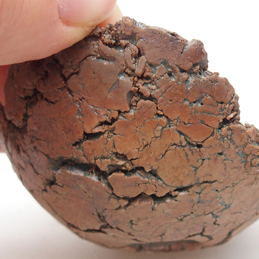 Ceramiczna muszla 7,5 x 7 x 4 cm, kolor zielony