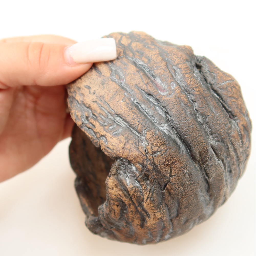 Ceramiczna skorupa  10 x 10 x 11 cm, kolor brązowy