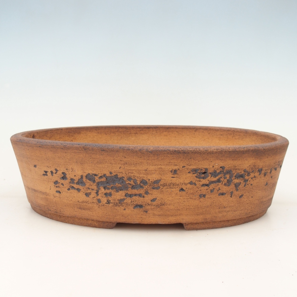 Misa do bonsai 32,5 x 25,5 x 8 cm, kolor brązowy