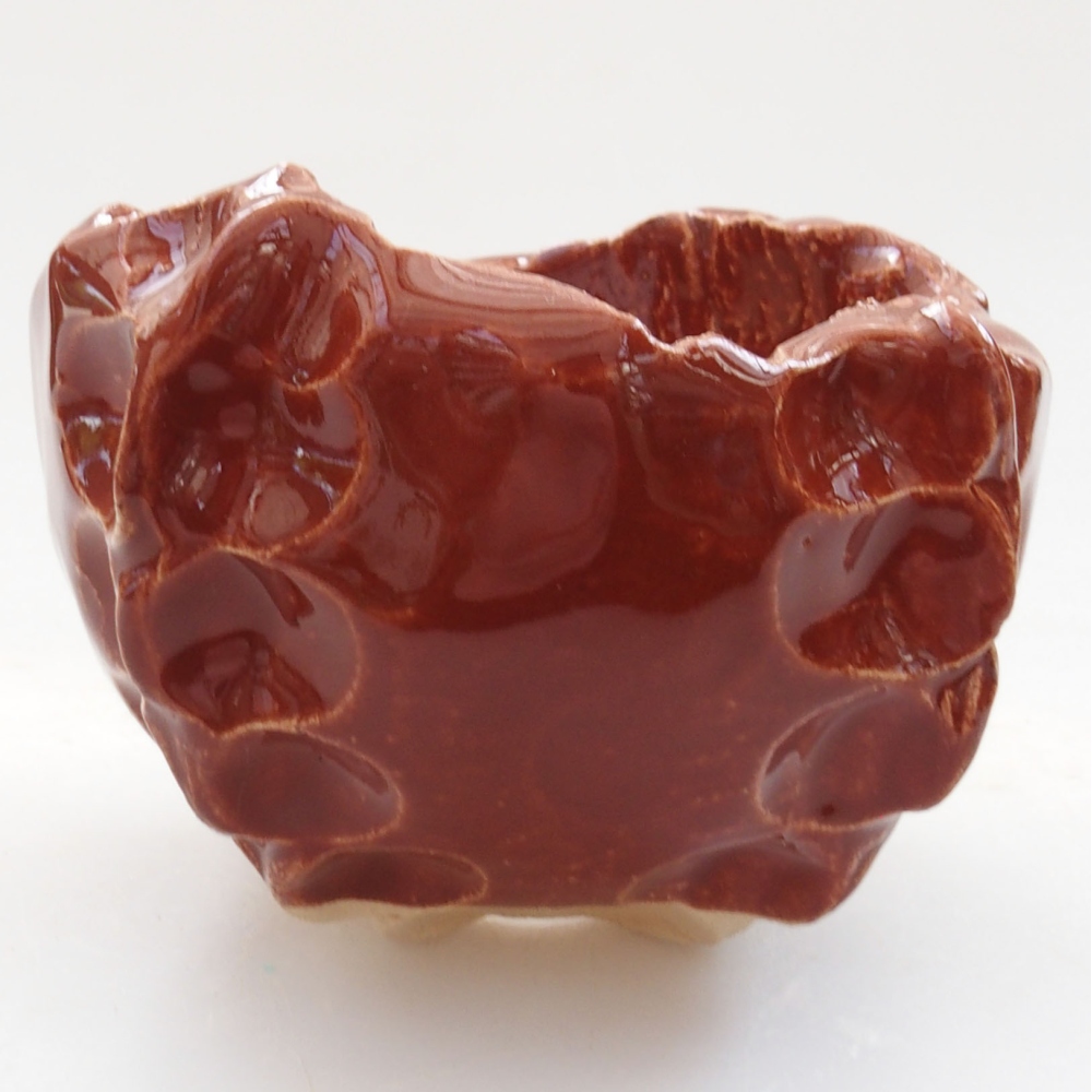 Muszla ceramiczna 7 x 7 x 6,5 cm, kolor brązowy