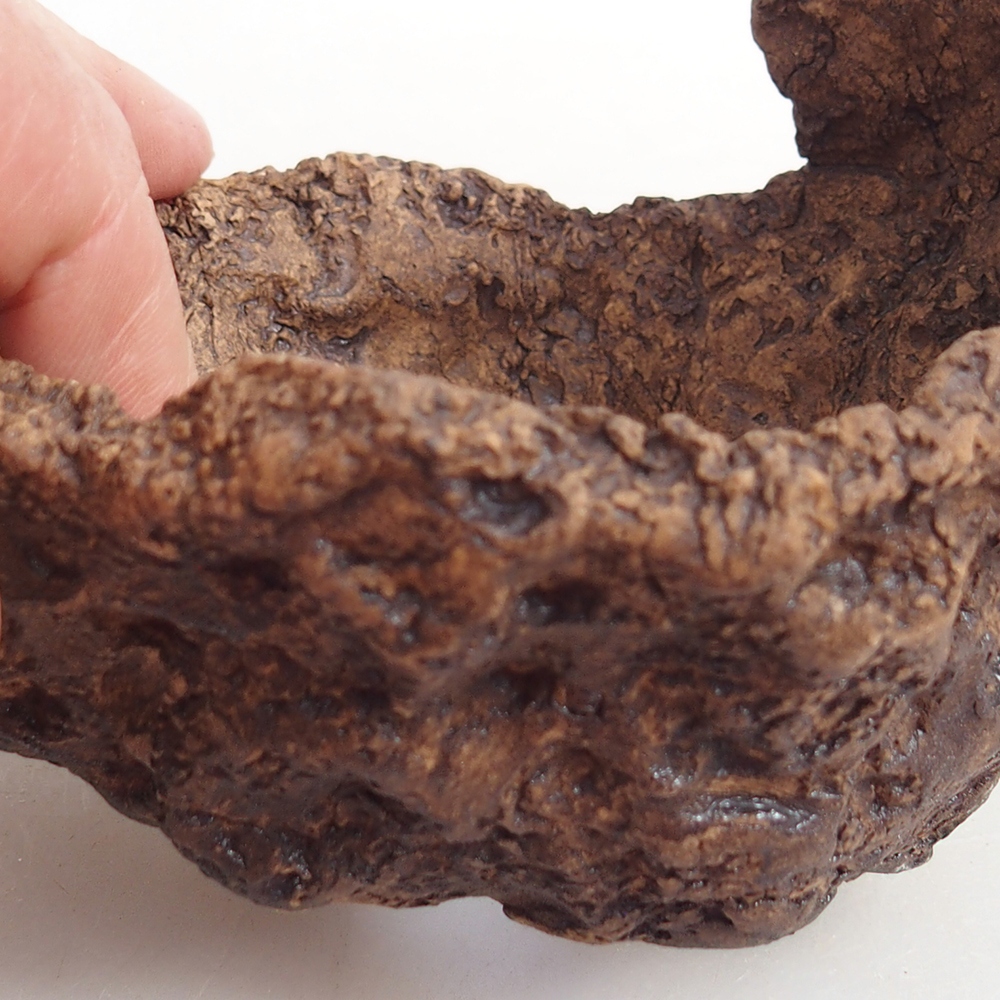 Ceramiczna muszla 9,5 x 9 x 8,5 cm, kolor brązowy