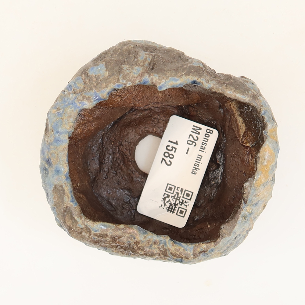 Ceramiczna skorupka  6 x 5 x 5 cm, kolor niebieski