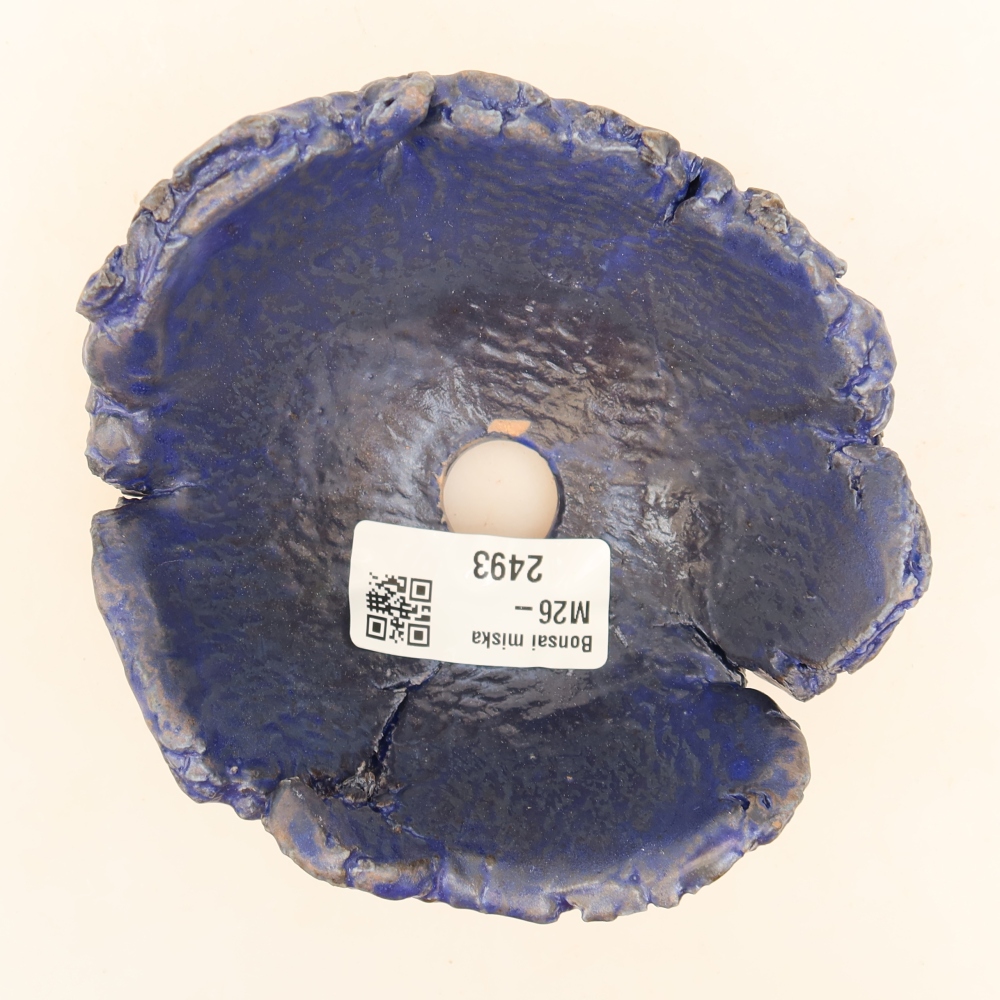 Ceramiczna skorupka  11,5 x 10,5 x 6,5 cm, kolor niebieski