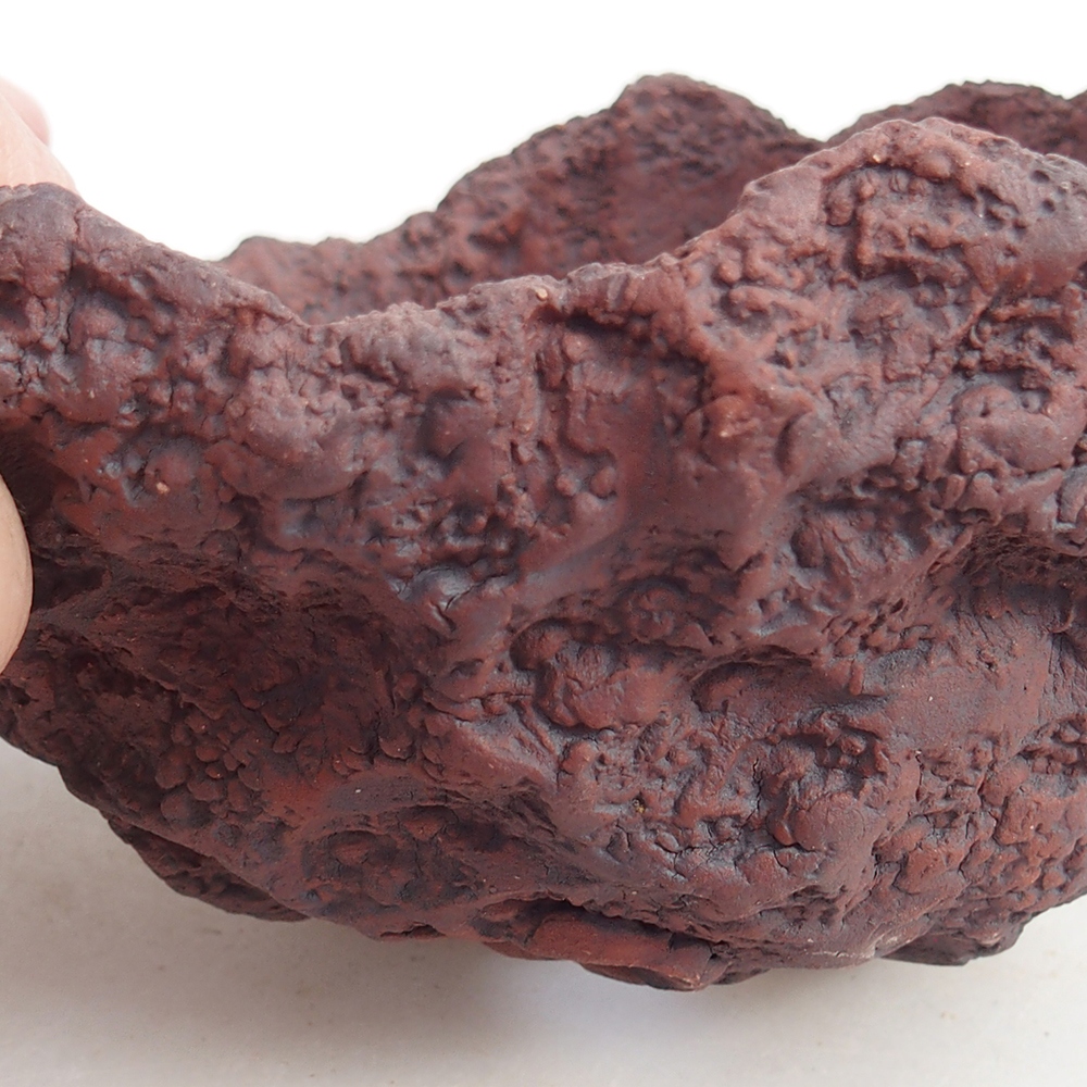 Ceramiczna muszla 13 x 11 x 12 cm, kolor brązowy