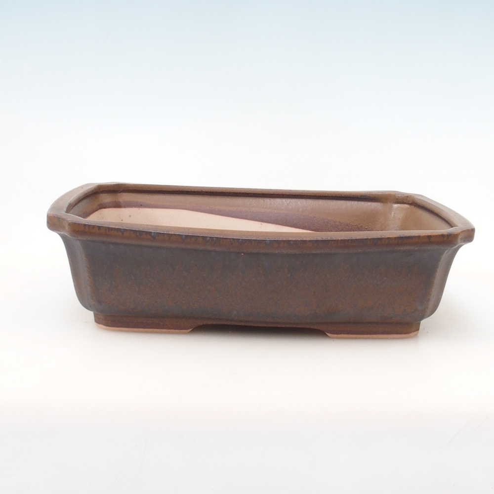 Bonsai bowl H07 - 30 x 20,5 x 8 cm. - brązowy