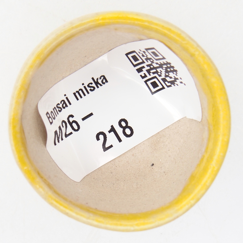 Mini miska do bonsai 4 x 4 x 2,5 cm, żółta