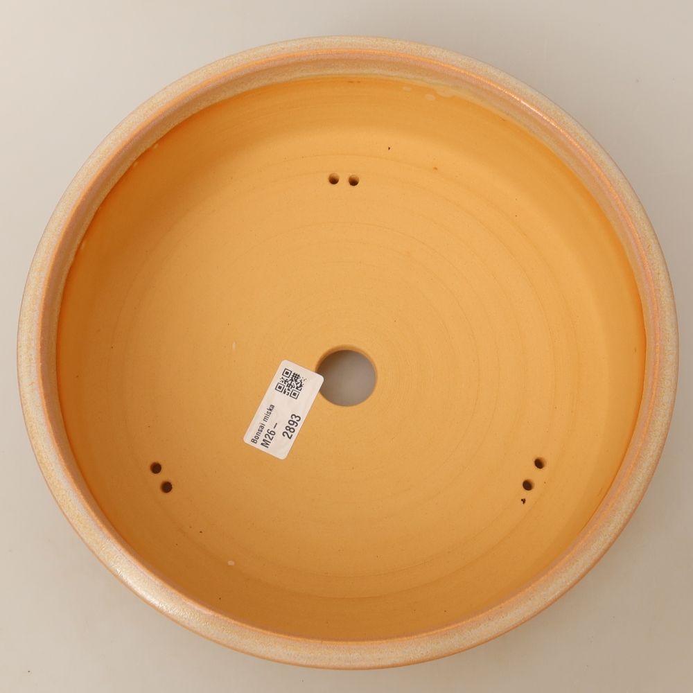 Ceramiczna miska do bonsai 24,5 x 24,5 x 8 cm, kolor beżowy