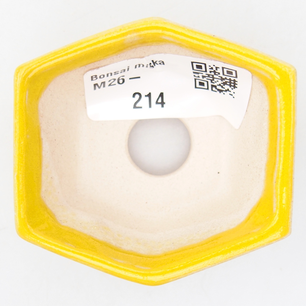 Mini miska do bonsai 6 x 5,5 x 2,5 cm, żółta